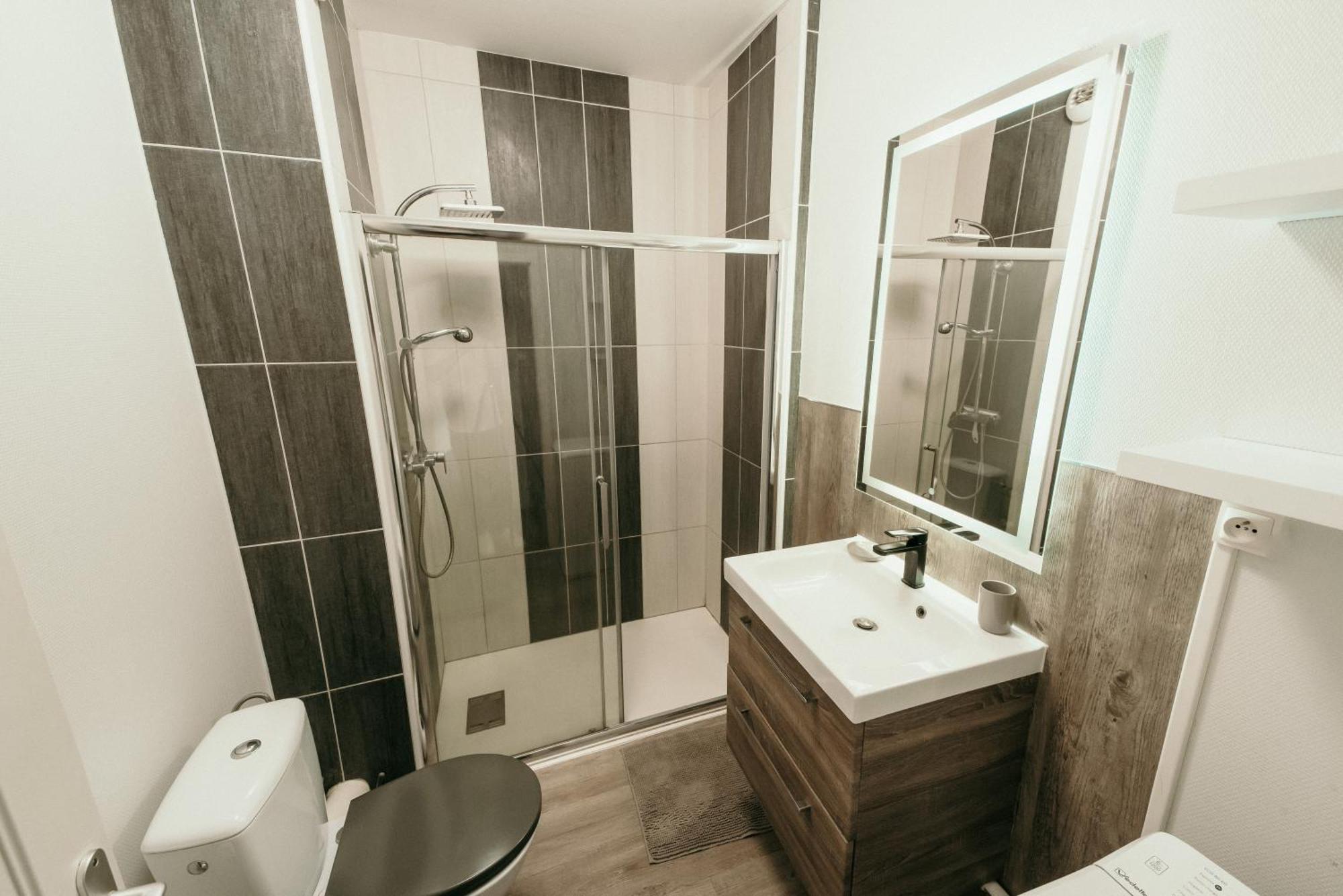 Appartement D'Alexandre Hyper Centre-Ville Charleville-Mézières Dış mekan fotoğraf